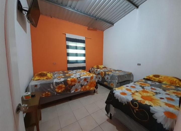 Hotel El Pez Dorado نهر دولسي المظهر الخارجي الصورة