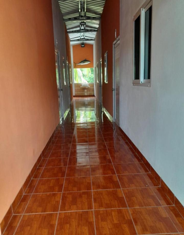 Hotel El Pez Dorado نهر دولسي المظهر الخارجي الصورة